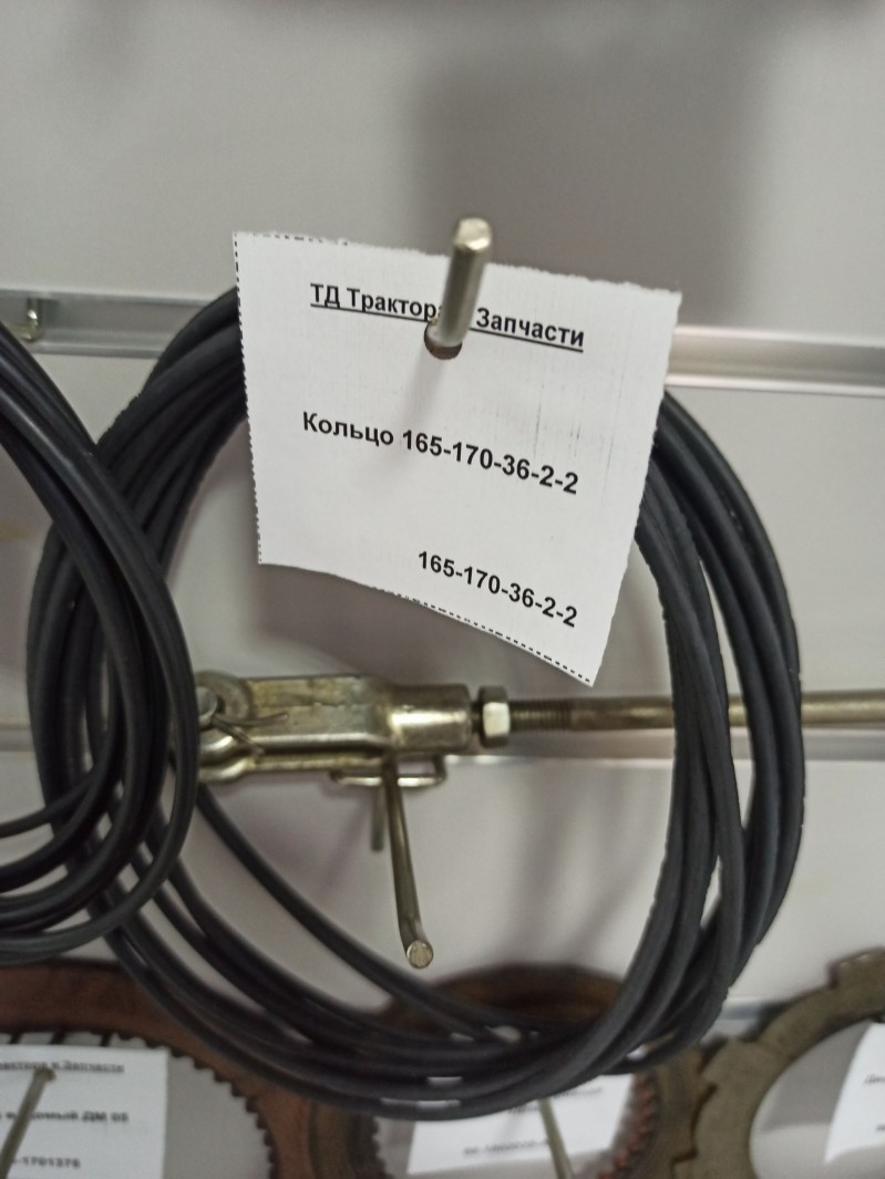 Кольцо 165-170-36-2-2 — 1