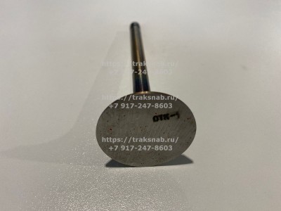 Клапан впускной (большой) Д-240 оригинал