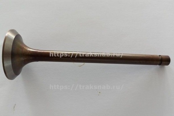 Клапан впускной (большой) Д-240 оригинал — 1