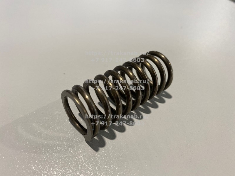 Пружина клапана наружняя Д245 — 2
