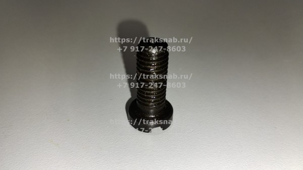 Винт крепления пластины распред/вала ММЗ — 1